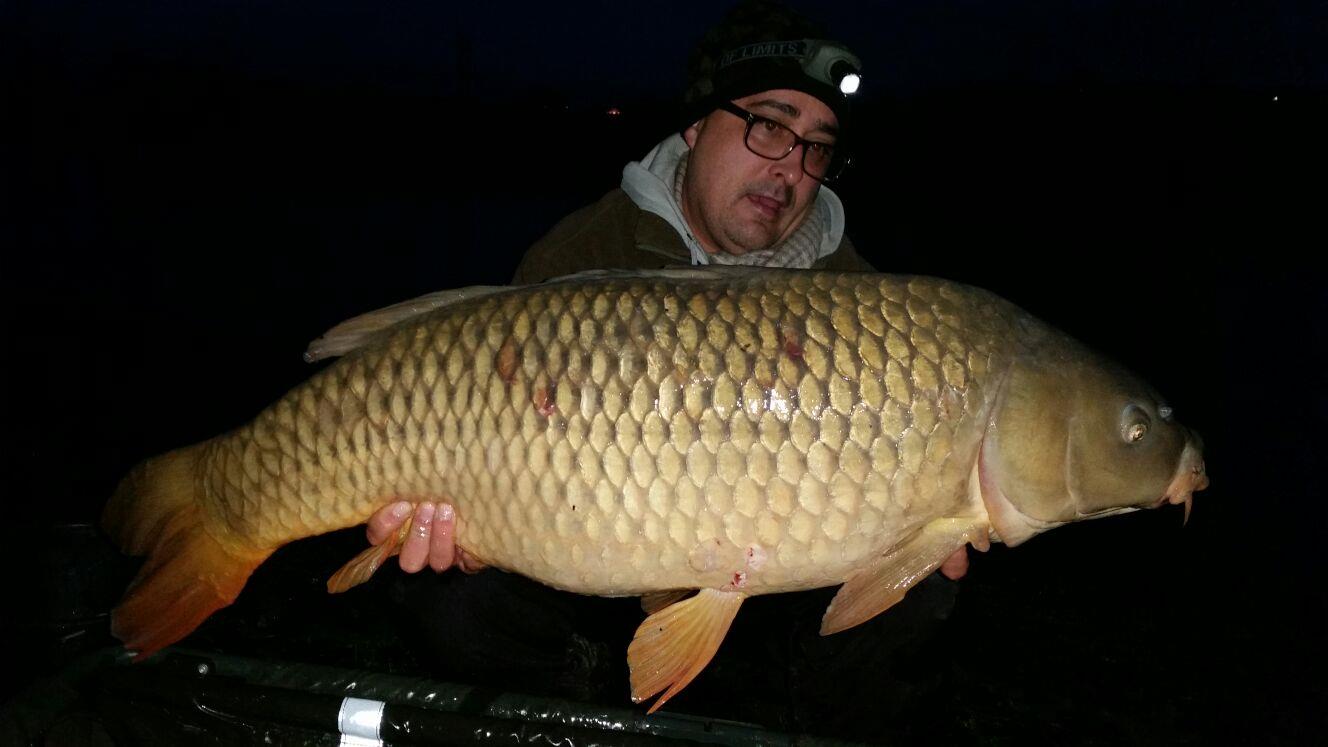 regiune Rhône-Alpes 25 noiembrie 2015 - img-20151125-wa0045.jpg